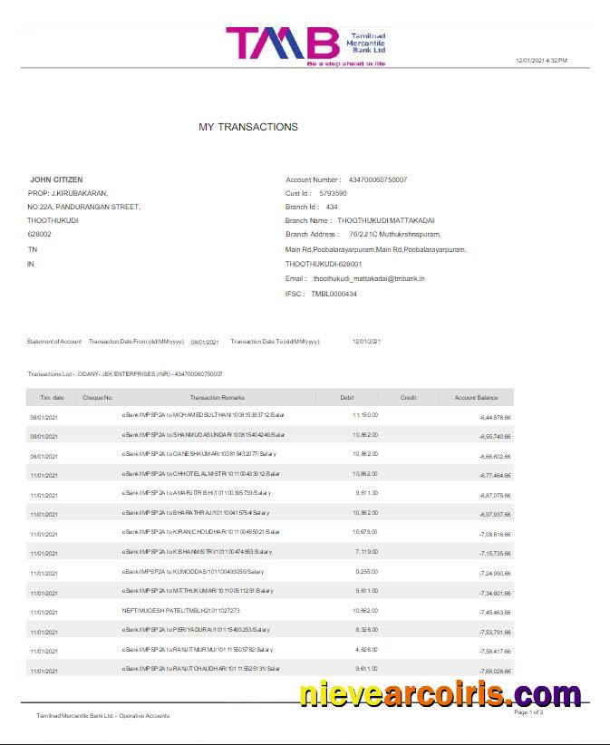 India TAB bank statement Word and PDF scr